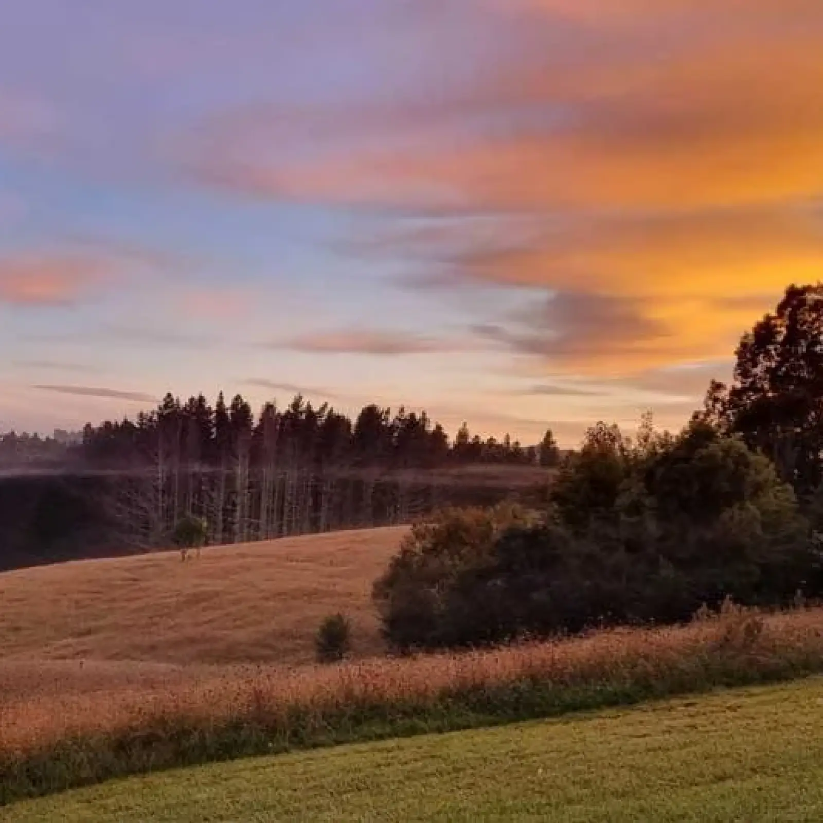 Environmental Serenity and Addiction Recovery