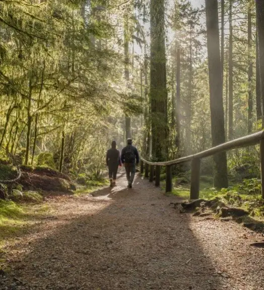 Two people walking through native bush together