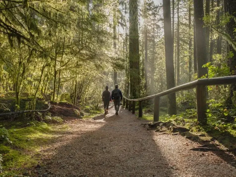 Two people walking through native bush together