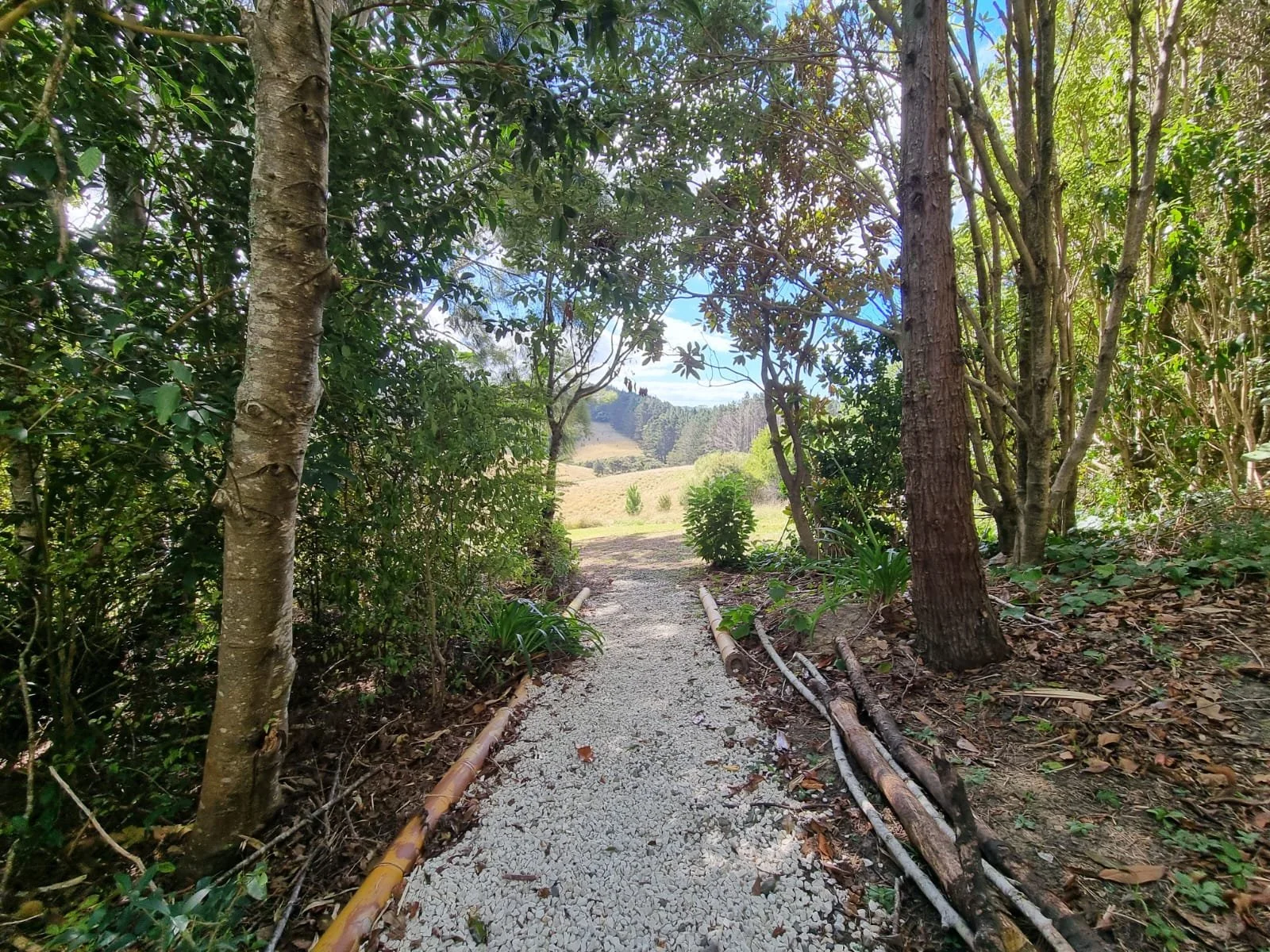 A gravel path through lush green trees leading to an open field at Keystone Lodge.
