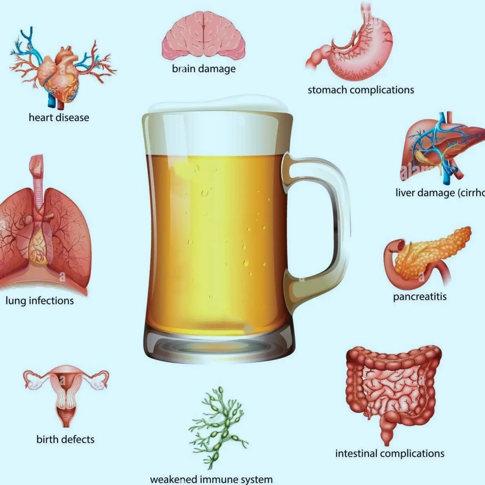 How alcohol prematurely ages the body and brain.
