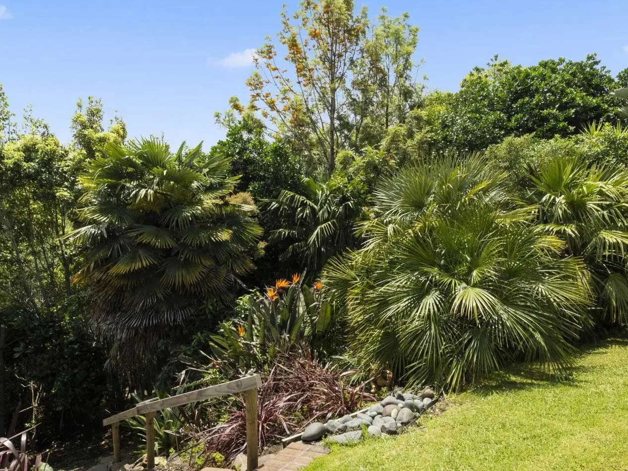 Tropical garden with bird of paradise flowers at Keystone Lodge.