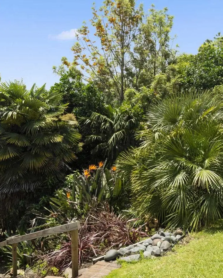 Tropical garden with bird of paradise flowers at Keystone Lodge.