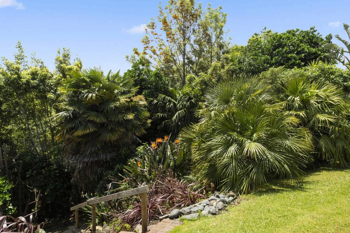 Tropical garden with bird of paradise flowers at Keystone Lodge.