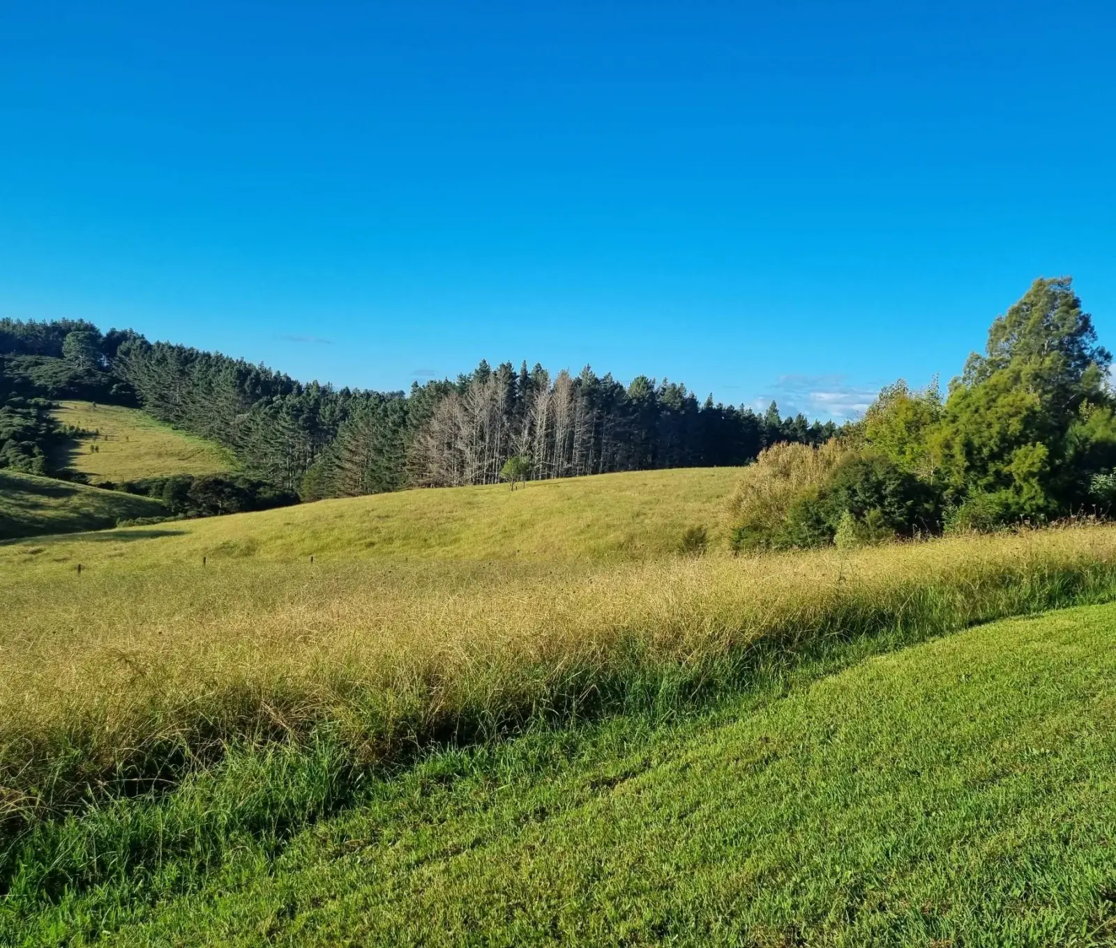 The private grounds of Keystone Lodge, north of Auckland