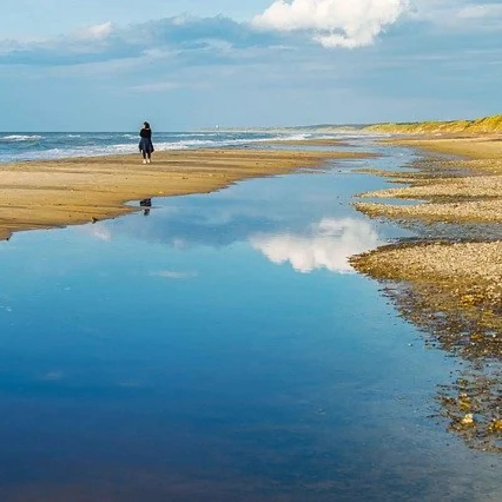 A Healing Destination: Why International Clients Choose New Zealand for Rehab